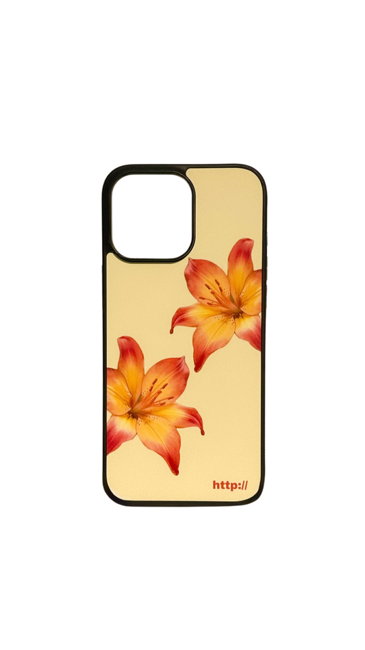 Hawaiian Case