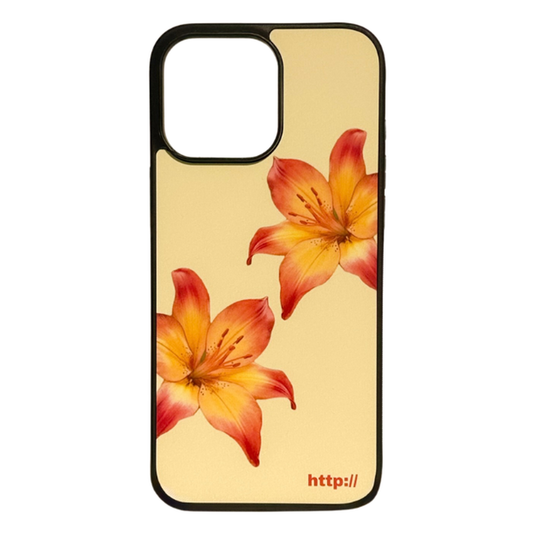 Hawaiian Case